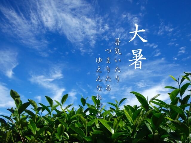 二十四の算数 2019大暑
