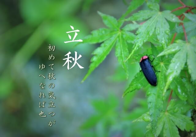 二十四の算数 2019立秋
