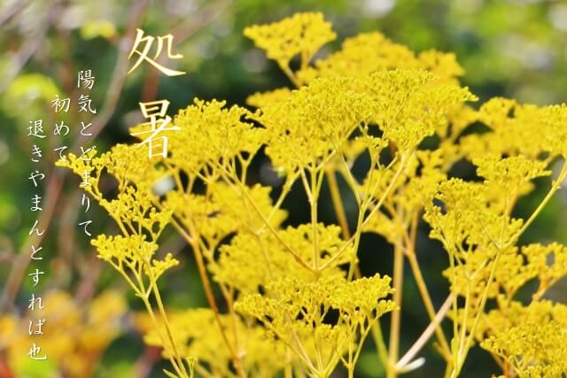 二十四の算数 2019処暑