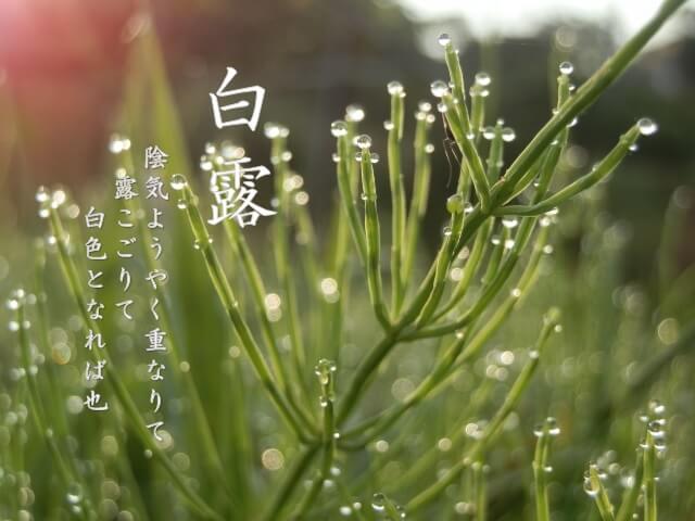 二十四の算数 2019白露